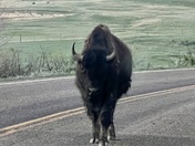 Theodore Roosevelt National Park - North Unit 