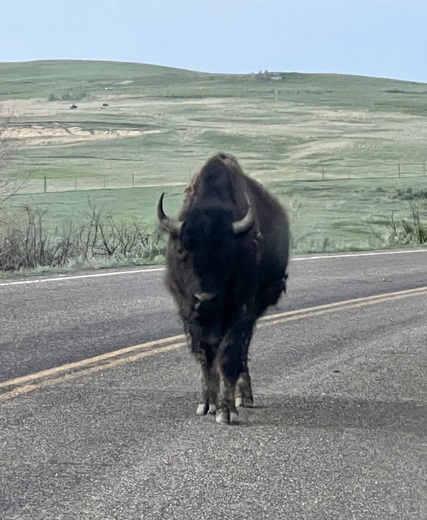 Theodore Roosevelt National Park - North Unit 