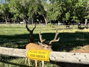 Capitol Reef National Park