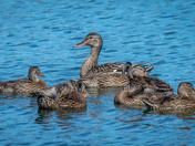 The kids are getting big!