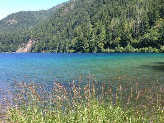 Olympic National Park