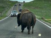 Yellowstone National Park