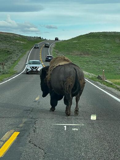 Yellowstone National Park