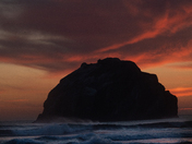 Oregon Islands National Wildlife Refuge