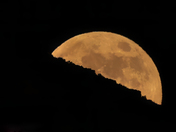 Lower John Day Wilderness Study Area