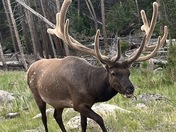 Rocky Mountain National Park