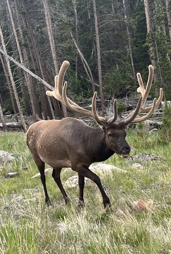 Rocky Mountain National Park