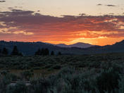 Yellowstone National Park