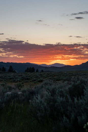 Yellowstone National Park