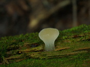 Smoky Mountains National Park