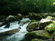 Smoky Mountains National Park