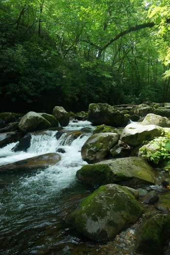 Smoky Mountains National Park