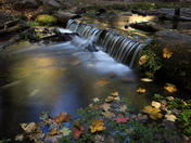 Tonto National Forest