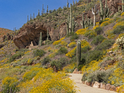 Tonto National Monument