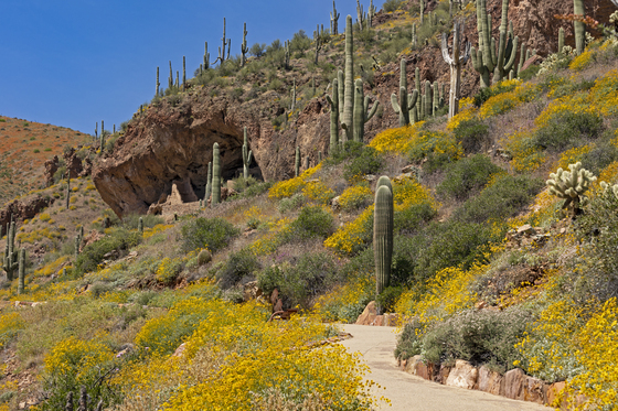 Tonto National Monument