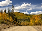 White River National Forest