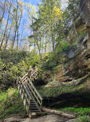 Red River Gorge Geological Area