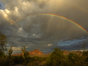Tonto National Forest