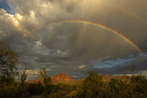 Tonto National Forest