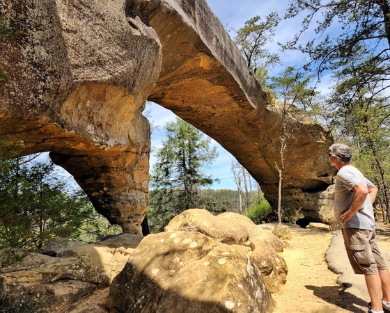 Daniel Boone National Forest 