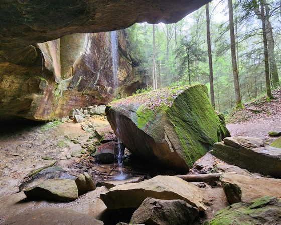Whittleton Arch 