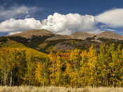 White River National Forest
