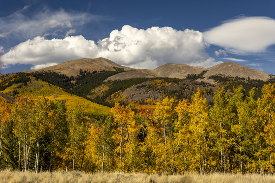 White River National Forest