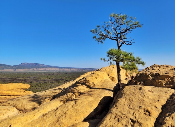 El Malpais National Monument 
