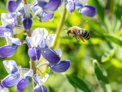 Just Gunna Squeeze In Here