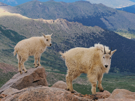 Mount Evans (Blue sky)