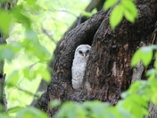 Mississippi National River & Recreation Area