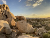 Joshua Tree National Park