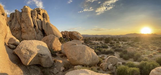Joshua Tree National Park