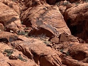 Red Rock Canyon National Conservation Area