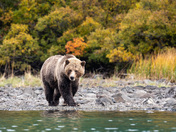 Fall is Fishing Time
