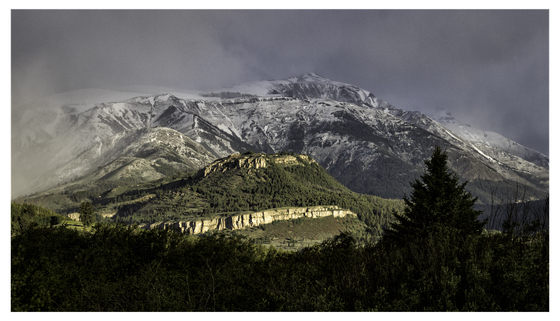 Shoshone National Forest