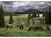 Shoshone National Forest