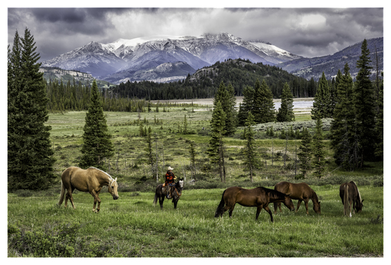 Shoshone National Forest