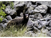 Hells Canyon National Recreation Area