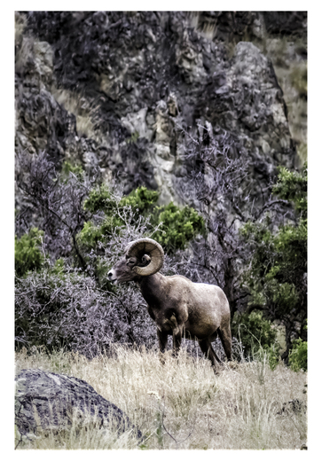 Hells Canyon National Recreation Area