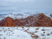 Red Cliffs National Conservation Area