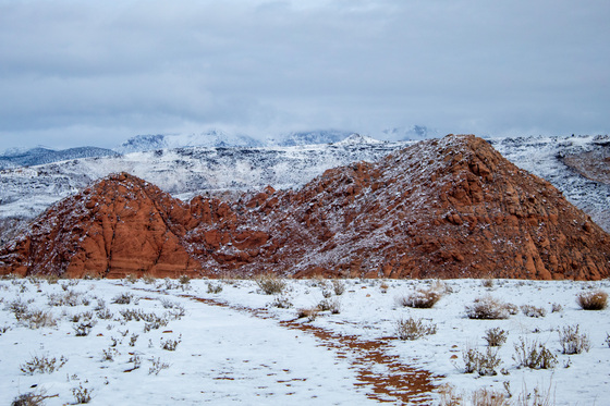 Red Cliffs National Conservation Area