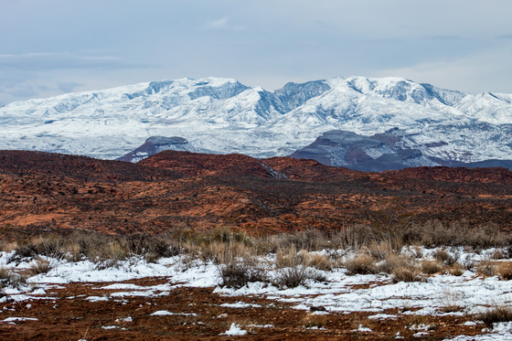 Red Cliffs National Conservation Area