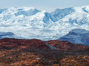 Red Cliffs National Conservation Area