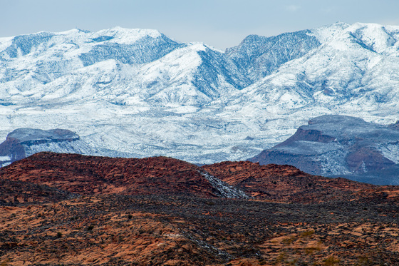 Red Cliffs National Conservation Area