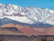 Red Cliffs National Conservation Area