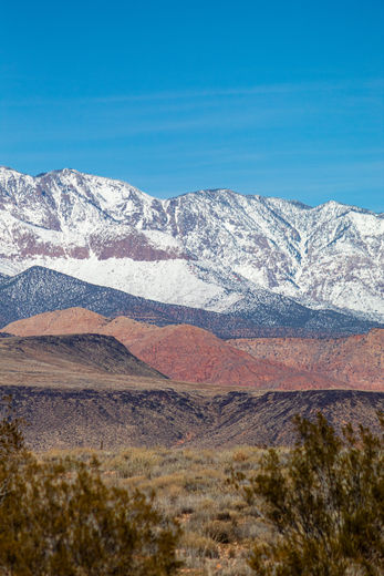 Red Cliffs National Conservation Area
