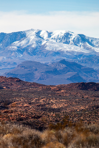 Red Cliffs National Conservation Area