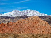 Red Cliffs National Conservation Area