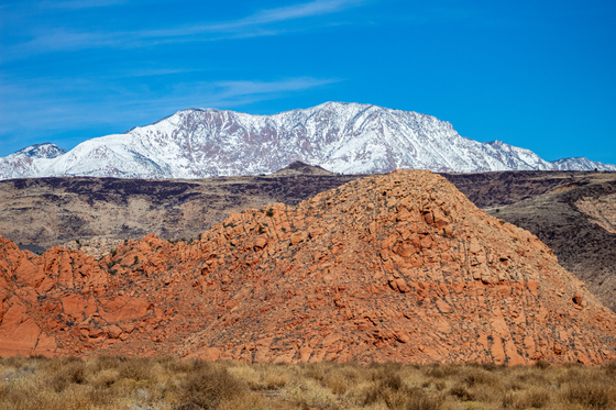 Red Cliffs National Conservation Area